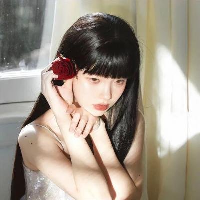 飘扬，共和国的旗帜