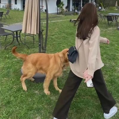 胡说，哪有什么吸血鬼！
